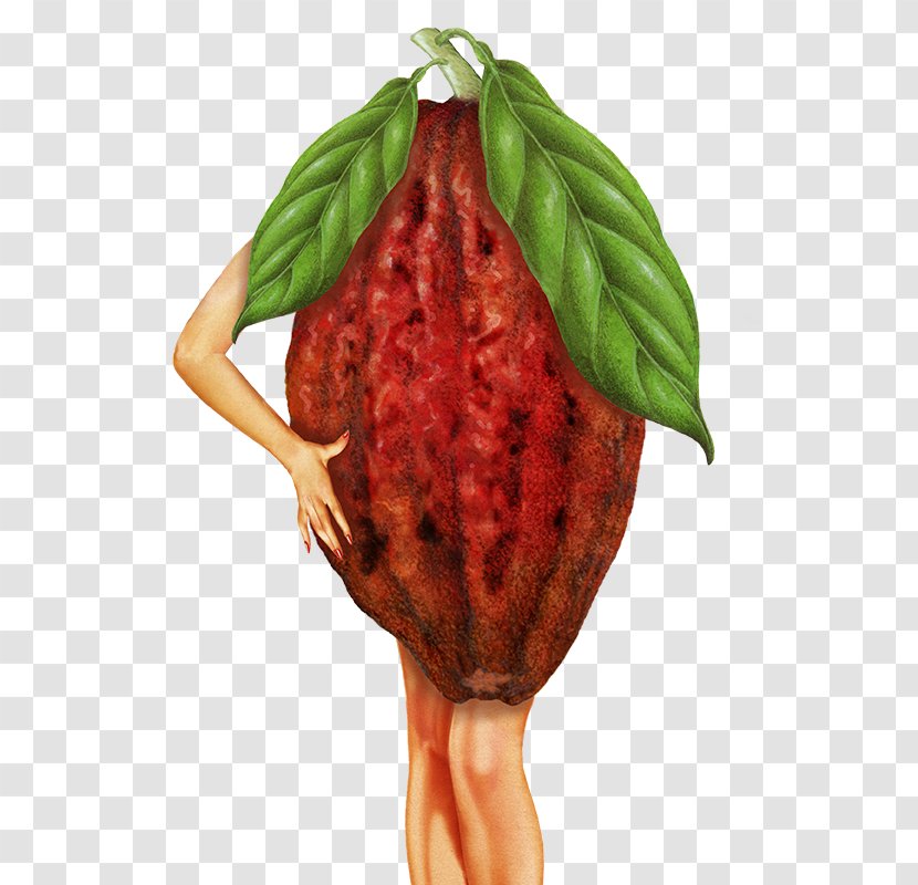 Strawberry Natural Foods Bell Pepper Red Hot Chili Peppers - Tree Transparent PNG