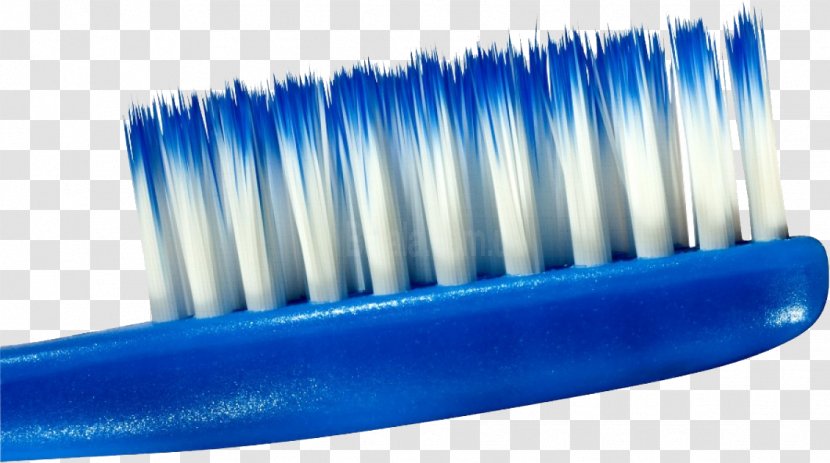 Toothbrush Bristle - Tool - Toothbrash Image Transparent PNG