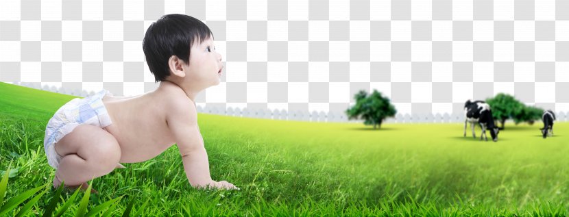 Lawn Human Behavior Toddler Nature Wallpaper - Grass Family - Crawling Baby Transparent PNG