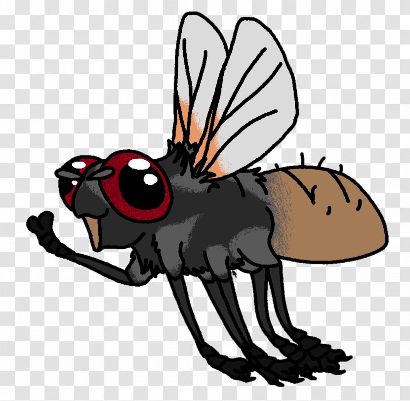 Insect Horse Pollinator Cartoon Clip Art Transparent PNG