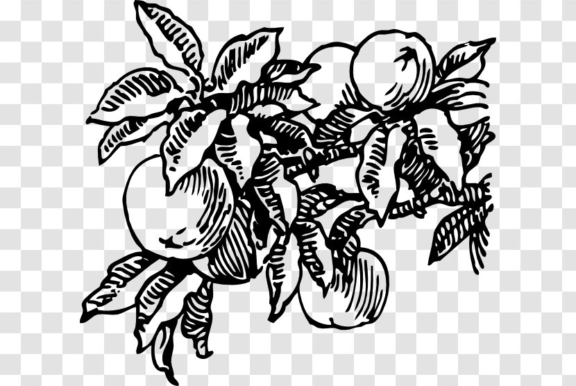 Juice James And The Giant Peach Clip Art - Black White - Branch Transparent PNG