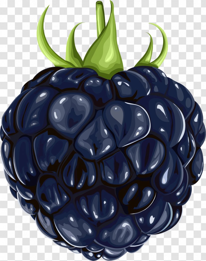 BlackBerry Fruit Clip Art - Berry - Blackberry Transparent PNG