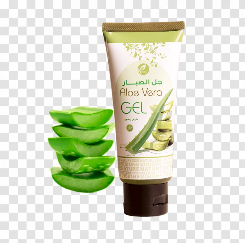 Cream Gel Product Lotion Brand - Aloe Vera - Botanical Illustration Transparent PNG
