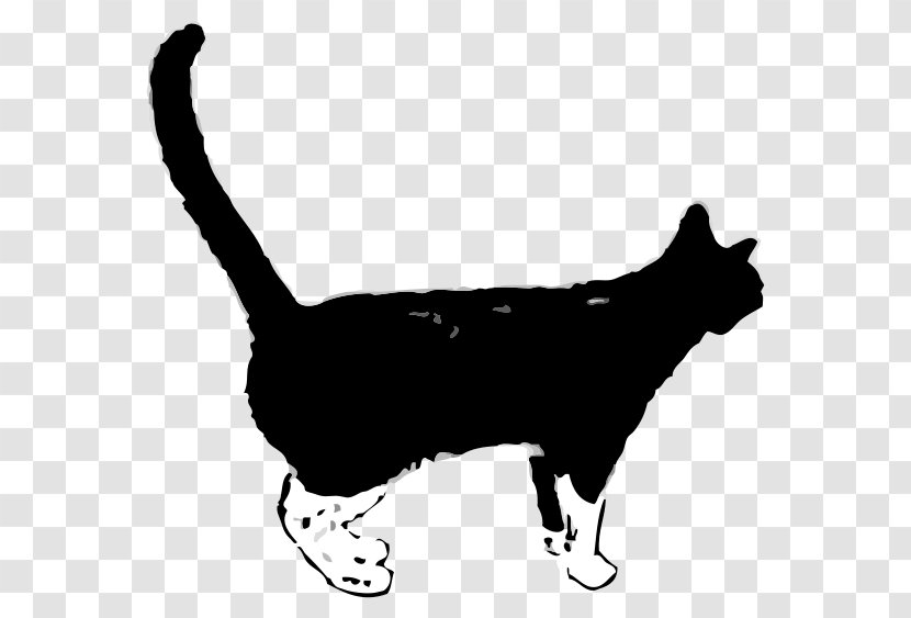 Felidae Black Panther Aegean Cat Kitten Tiger - Whiskers - Shinji Background Transparent PNG