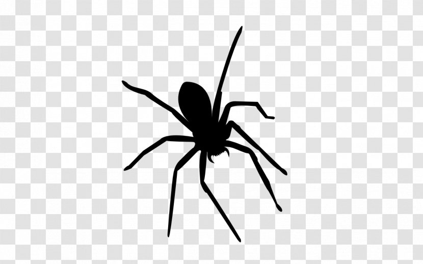 Widow Spiders Insect Mosquito Ant - Man - Spider Transparent PNG