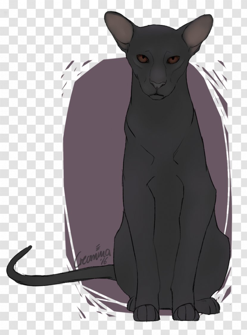Korat Whiskers Domestic Short-haired Cat Tail Cartoon - Mammal - Kylo Transparent PNG