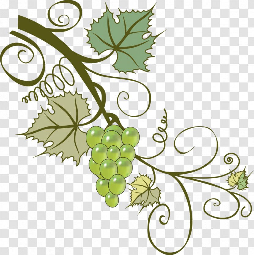 Grapevines Branch Leaf Clip Art - Food - 素材中国 Sccnn.com 7 Transparent PNG