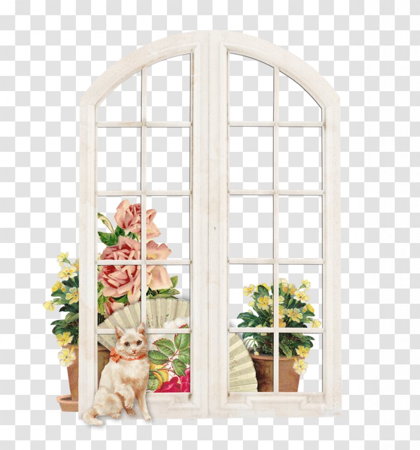 Window Cat Flower - Door Transparent PNG