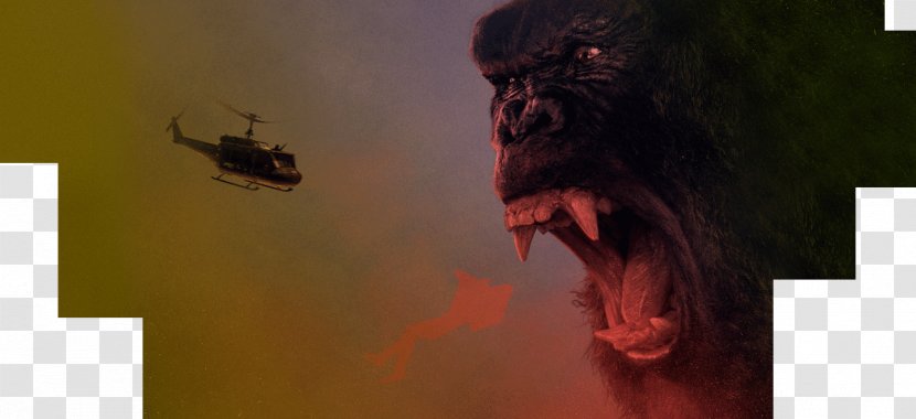 King Kong Film Director MonsterVerse Monster Movie - Phenomenon Transparent PNG
