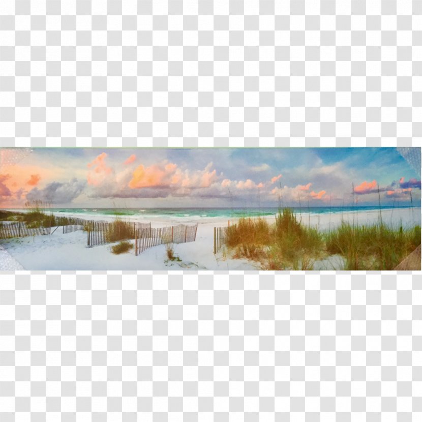 Island Art Panorama Panoramic Photography Printing - Wetland - Watercolor Transparent PNG