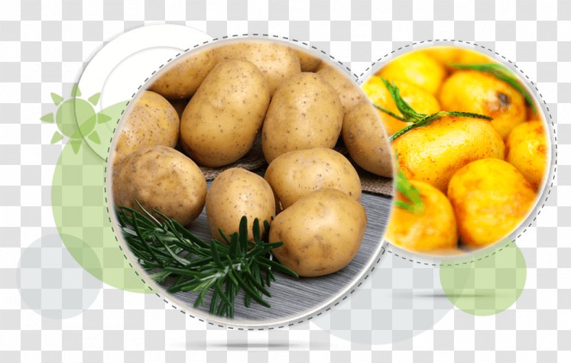 Yukon Gold Potato Nutrient Weight Loss Eating Vegetarian Cuisine - Dieting - Go Foods Transparent PNG