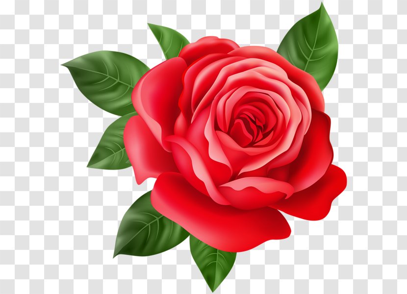 Best Roses Flower Purple Clip Art - Red Rose Decorative Transparent PNG
