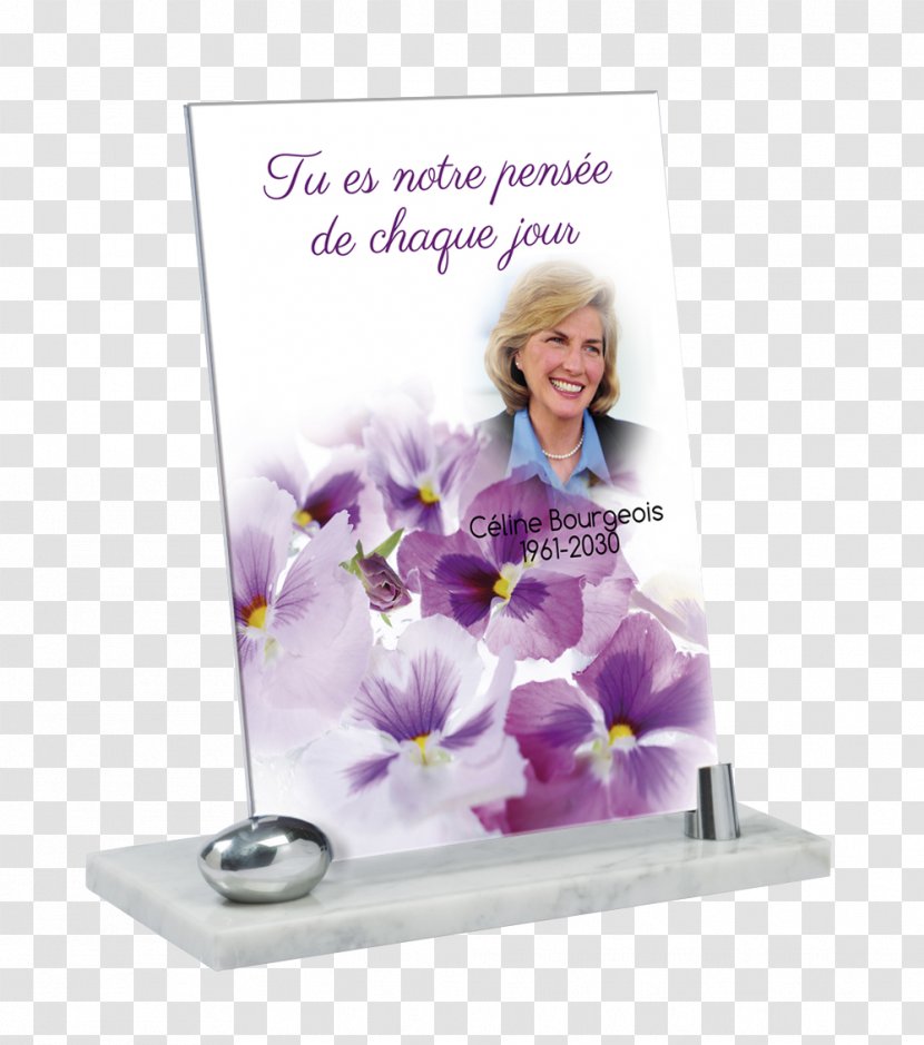 Floral Design Picture Frames - Award Plaques Transparent PNG