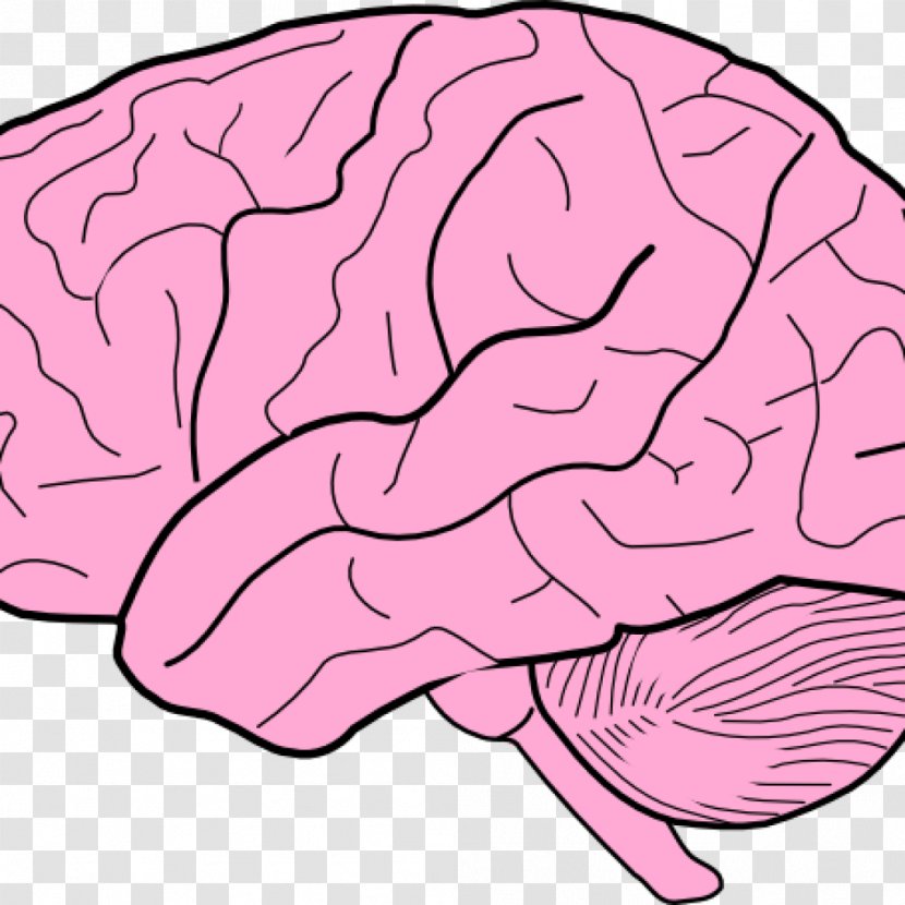 Clip Art Outline Of The Human Brain - Frame Transparent PNG