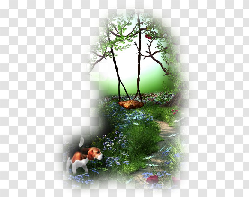 Water Garden Image Desktop Wallpaper - Log Stool Transparent PNG