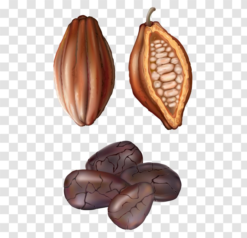 Clip Art Cocoa Bean Openclipart Cacao Tree - Chocolate Transparent PNG