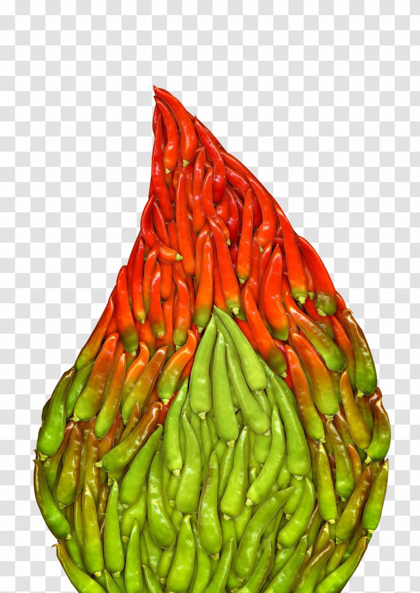 Chili Pepper Jalapexf1o Bhut Jolokia Pungency - Vegetable - Volcano Transparent PNG