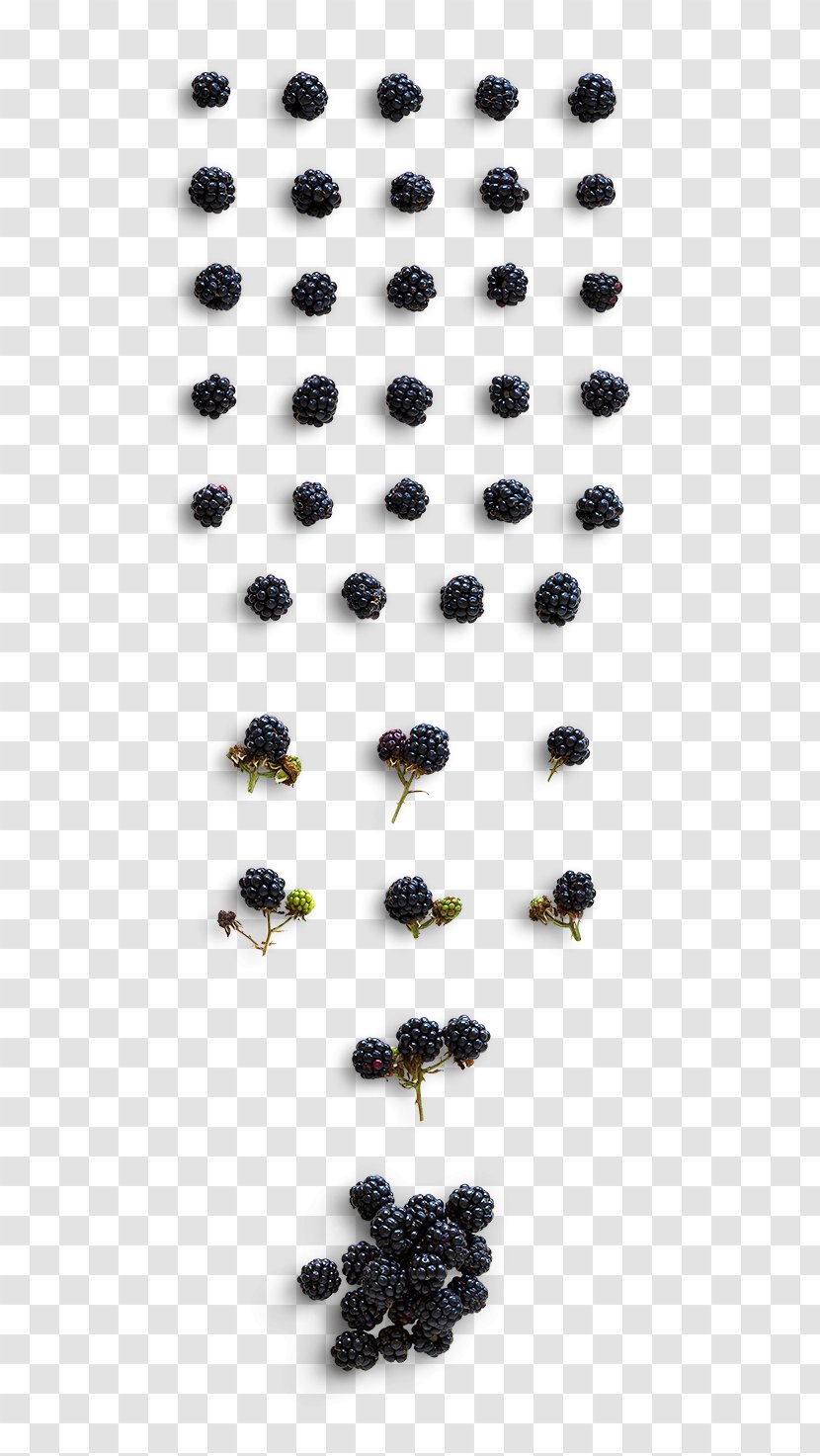 Berry Intercom - Stock Photography - Fresh Blueberries Transparent PNG