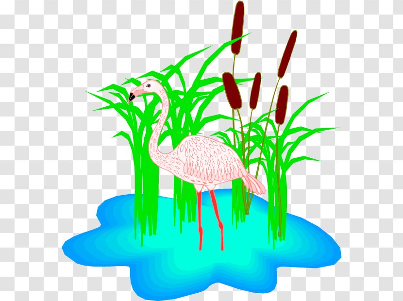 Flamingo Cartoon - Blog - Plant Stem Transparent PNG