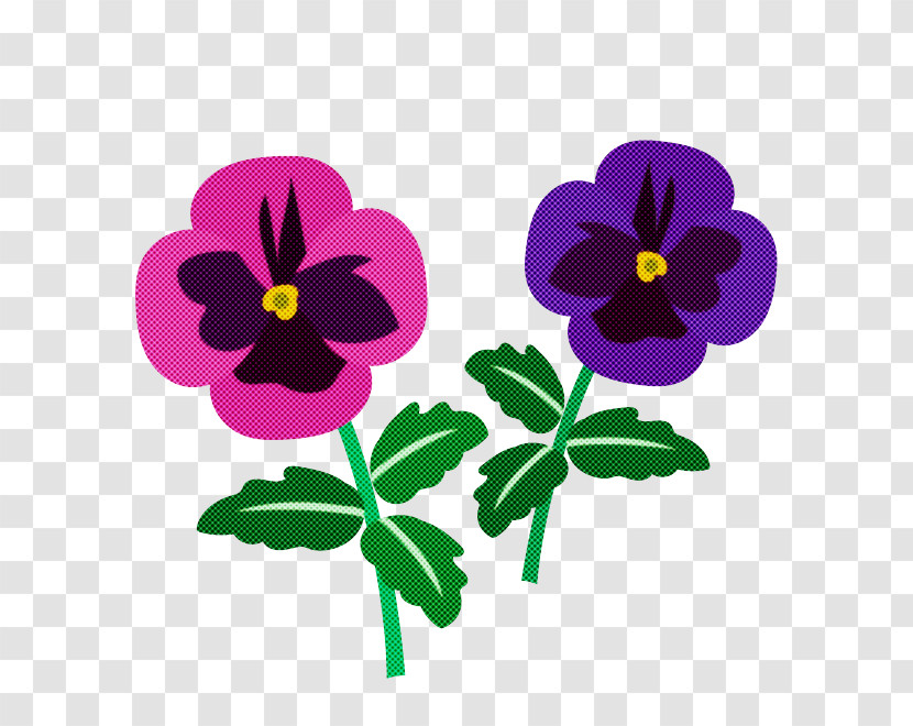 Flower Violet Wild Pansy Purple Plant Transparent PNG