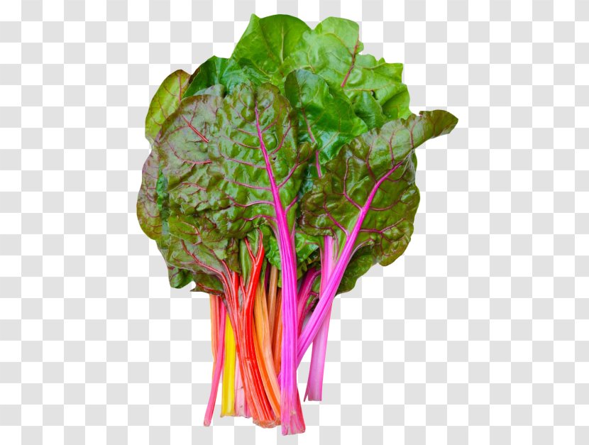 Chard Swiss Cuisine Thai Leaf Vegetable - Romaine Lettuce - Lotus Root Children Transparent PNG