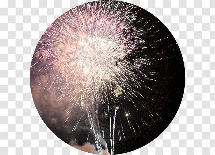 Lake Winnepesaukah Amusement Park Fireworks Entertainment Transparent PNG