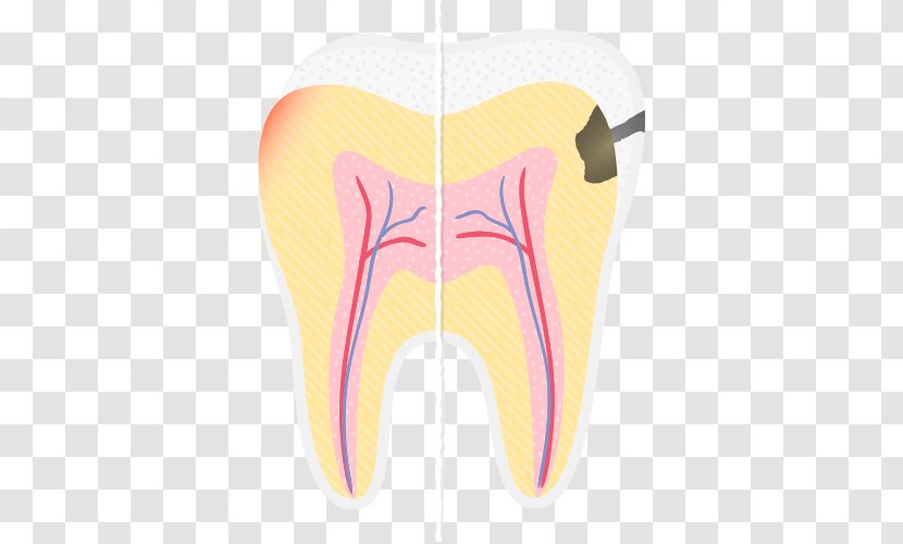 Human Tooth Sports & Energy Drinks - Heart - Dental Caries Transparent PNG