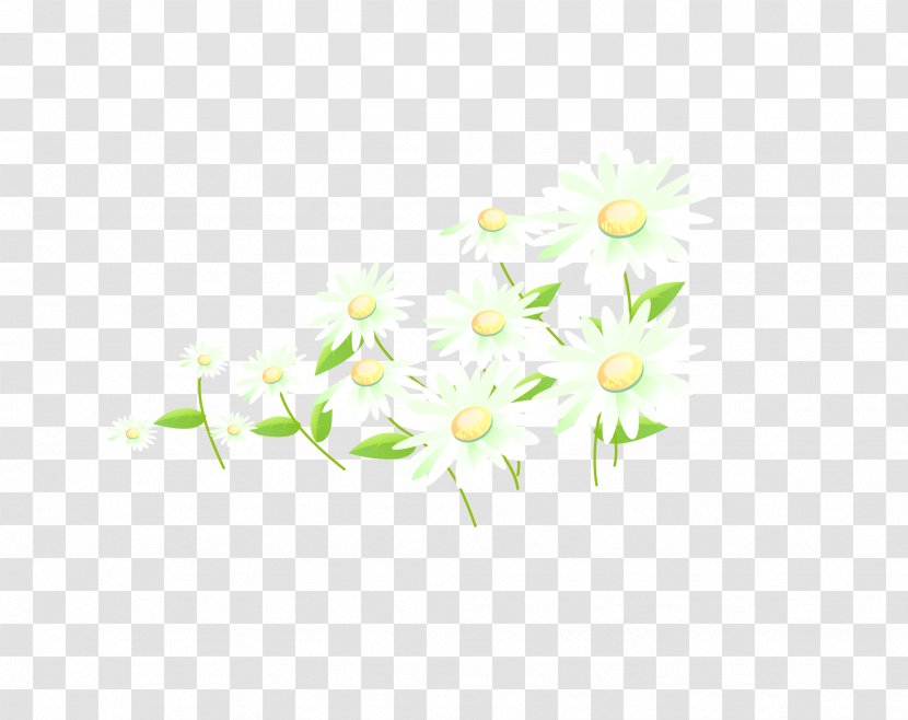 Petal Green Floral Design Pattern - Flower - Chrysanthemum Material Transparent PNG