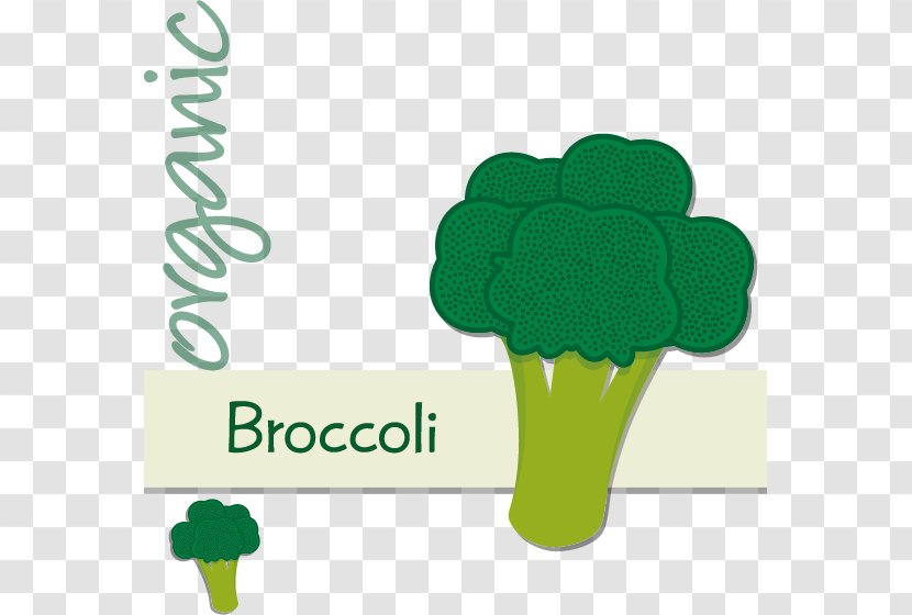 Graphic Design - Drawing - Hand-painted Cartoon Broccoli Label Transparent PNG
