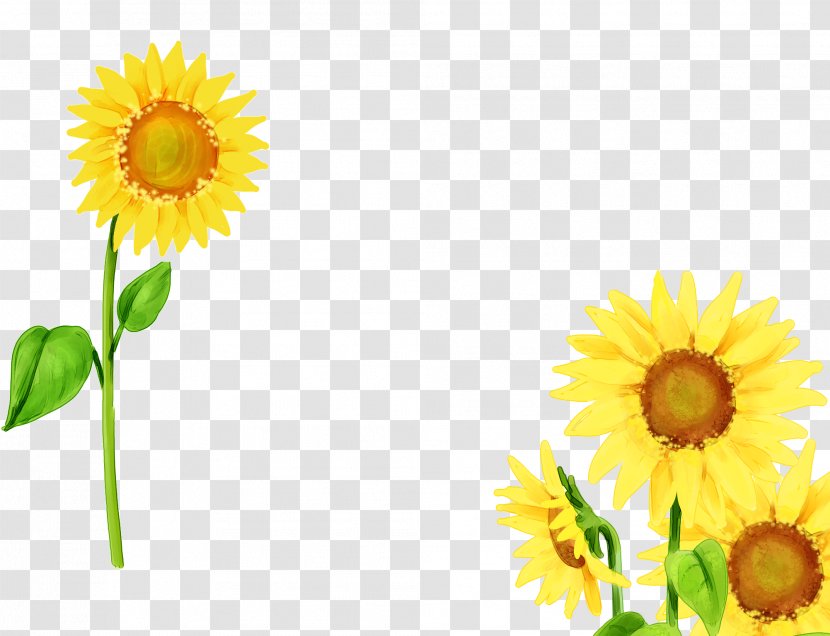 Mother Family Child Illustration - Flower - Sunflower 3 Transparent PNG