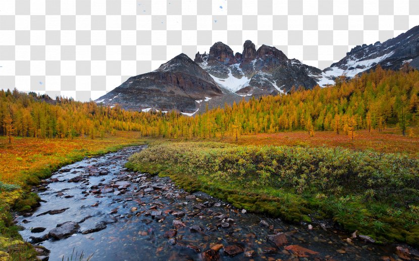 Landscape Stream 1080p Autumn Wallpaper - Tree - Canada Mount Assiniboine Provincial Park Eight Transparent PNG