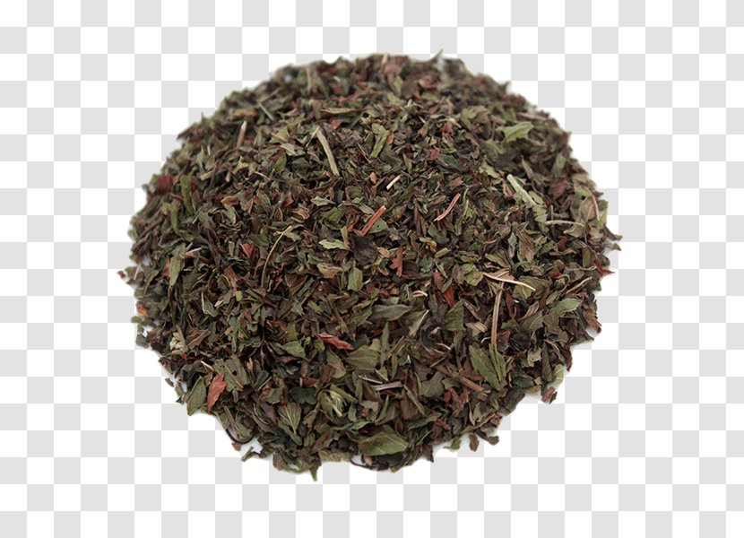 Green Tea Gunpowder Oolong Longjing Transparent PNG