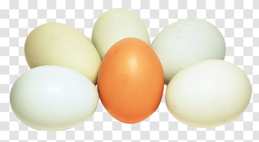 Dietary Supplement Boiled Egg Bird White - Vitamin D - Eggs Transparent PNG