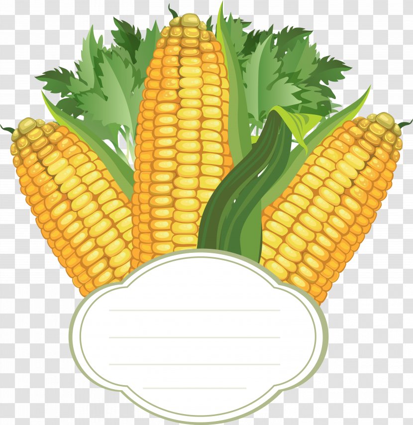 Corn On The Cob Vector Graphics Sweet - Cereal Transparent PNG