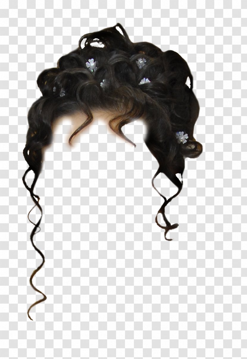 Hairstyle Capelli Wig Long Hair - Frame Transparent PNG