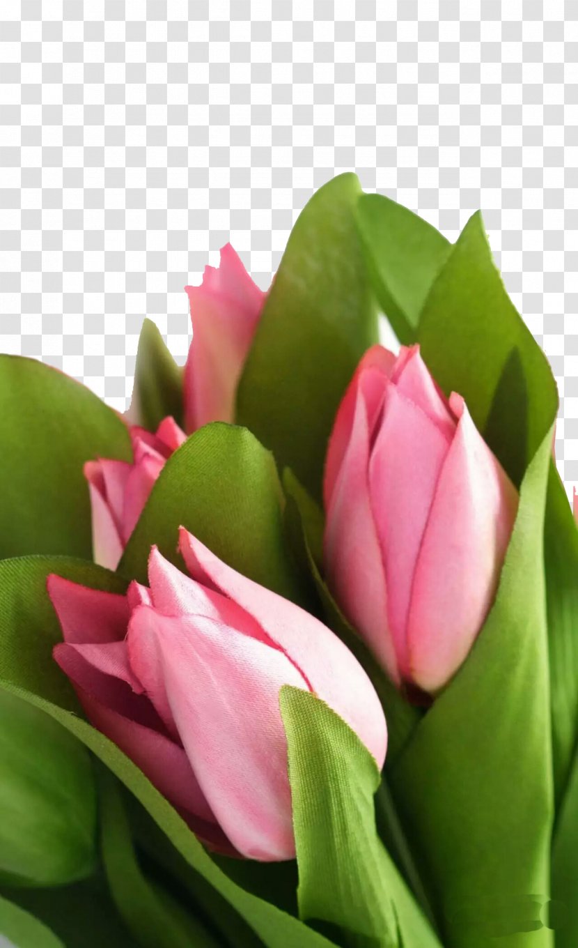 Artificial Flower Rose Tulip - Pink Bouquet Image Transparent PNG