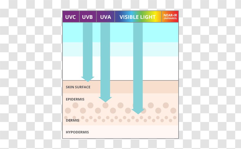 Sunscreen Sun Science: Formulating For Protection Factor De Protección Solar Skin Ageing - Number - UVB Transparent PNG