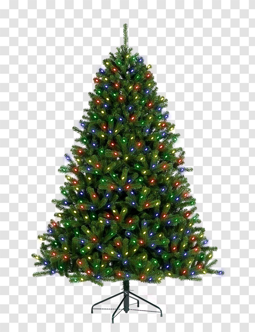 Christmas Tree Pine Pre-lit - Conifer Cone Transparent PNG