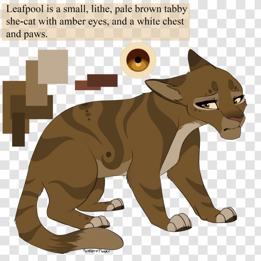 Cat Leafpool Warriors Erin Hunter Hollyleaf - Organism Transparent PNG