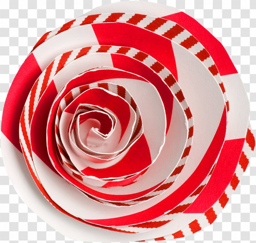 Garden Roses Rosaceae Circle - Rose Family - Handmade Transparent PNG