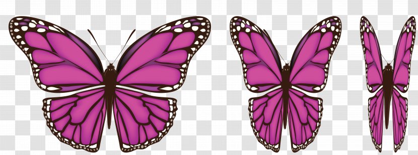Butterfly Wing Clip Art - Monarch - Pink Transparent PNG