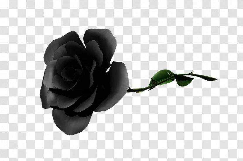 Garden Roses Flower - Petal - Rose Transparent PNG
