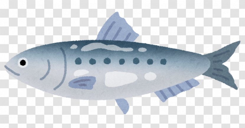 European Pilchard Whitebait Kabayaki Japanese Donburi - Pacific Saury - The Fish Transparent PNG