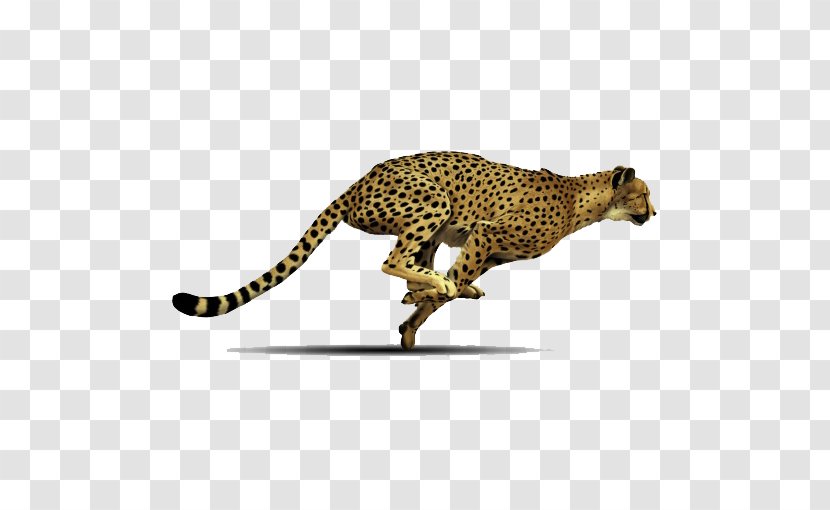 Cheetah Clip Art Image Transparency - Animal Figure Transparent PNG