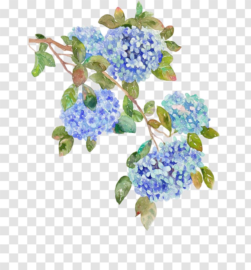 French Hydrangea Flower Blue Clip Art - Flowering Plant - 高清iphone Transparent PNG