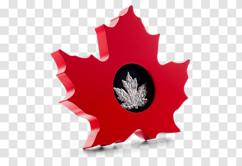 Canadian Gold Maple Leaf Canada Silver Coin Royal Mint - Leaves Beautiful Transparent PNG