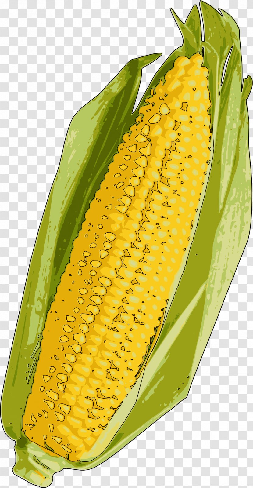 Corn On The Cob Popcorn Candy Flakes Maize Transparent PNG