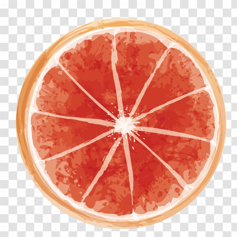 Juice Lemon Grapefruit Orangelo Citrus Depressa - Peach - Vector Blood Orange Transparent PNG
