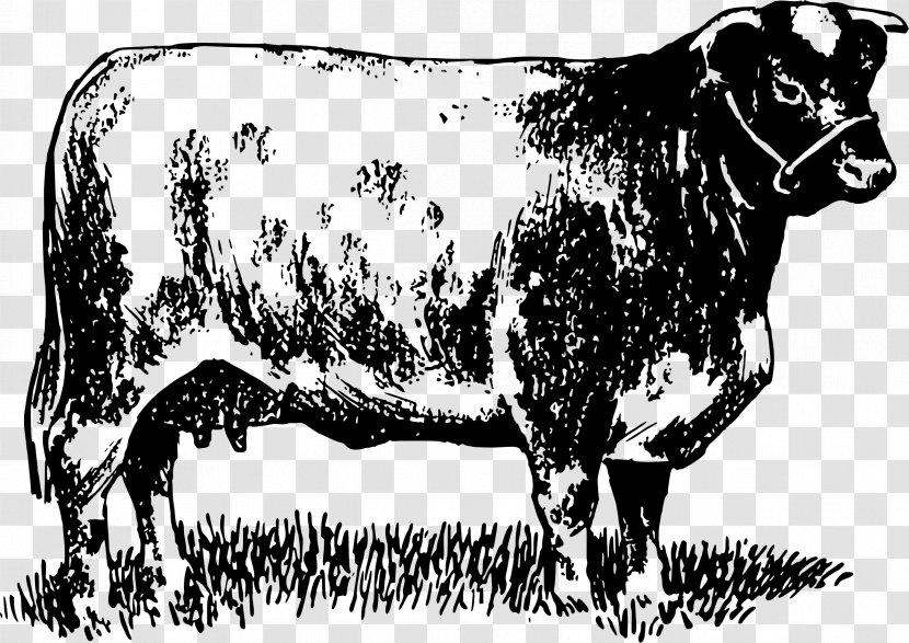 Dairy Cattle Zebu Bull Ox Pen - Cow Transparent PNG