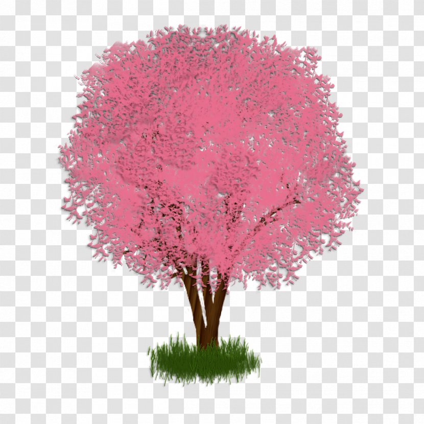 Shade Tree Regina De Luporum Shrub Branch Transparent PNG